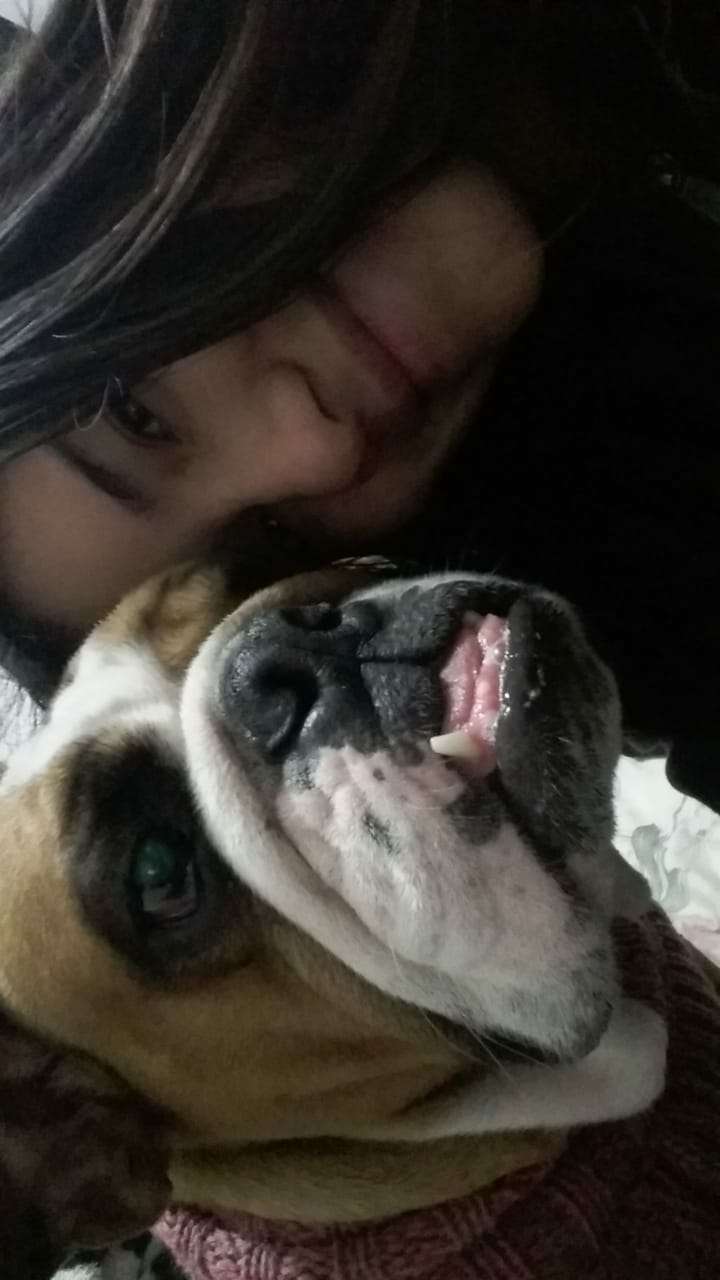 Cuido y paseo perros