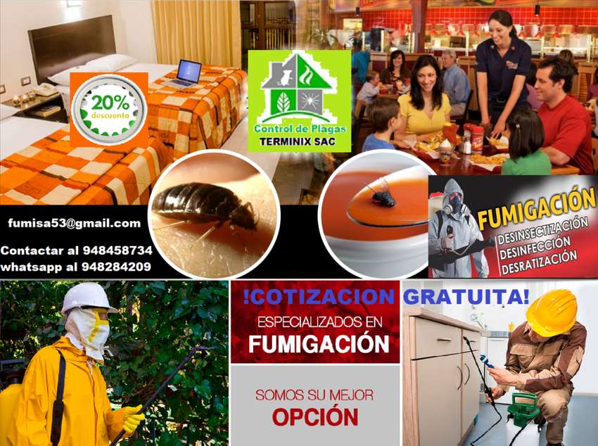 Servicio de fumigacion