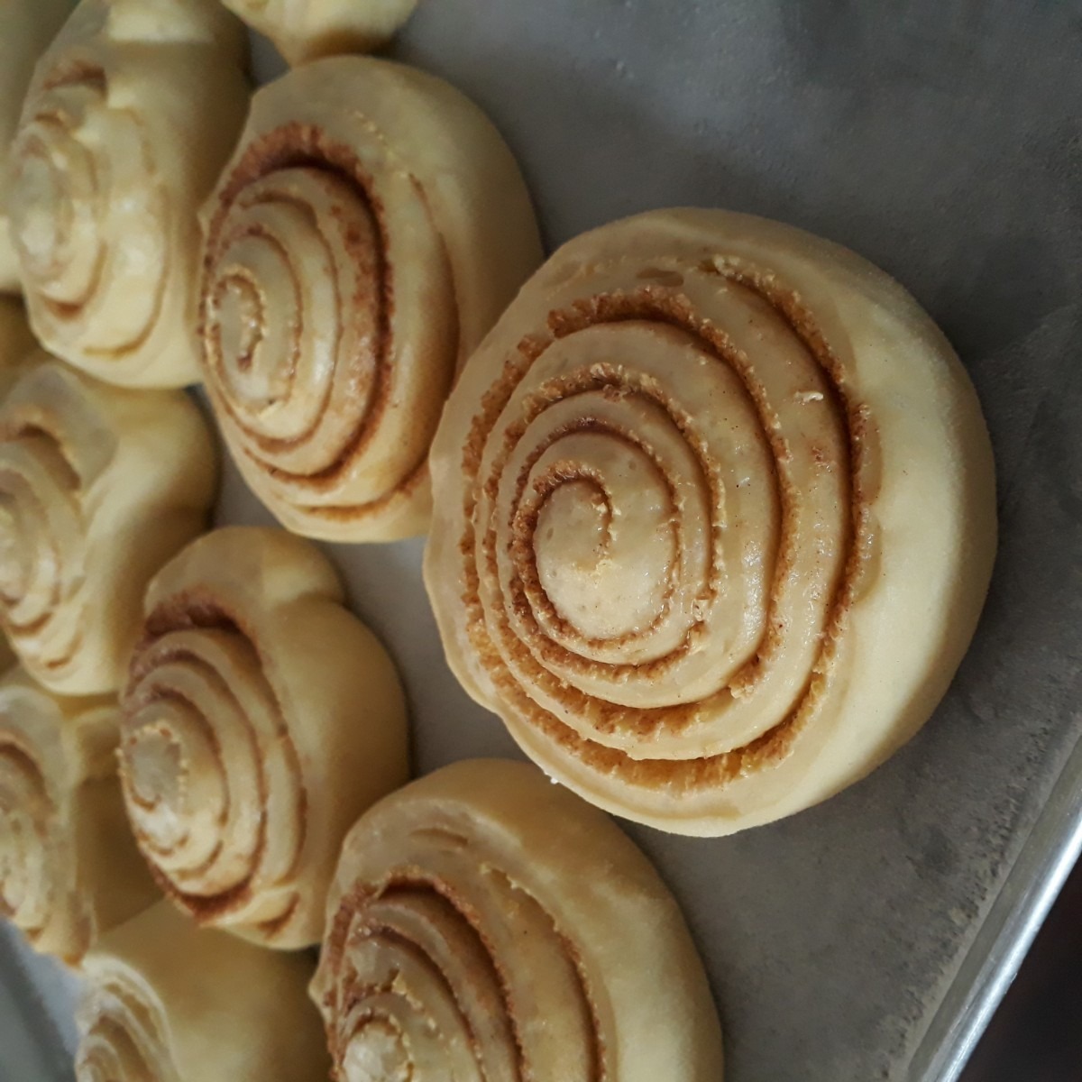 Cinamon rolls / rollos de canela con topping de queso crema