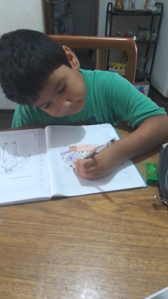 Clases virtuales de matemática