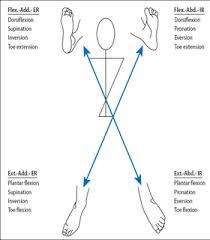 Abordaje fisioterapeutico en neurología a domicilio_surco_san luis_los olivos_cercado de lima