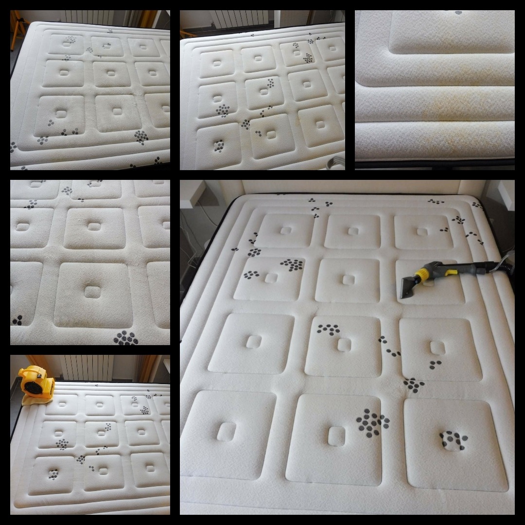 Desinfección y limpieza de colchones muebles y mas!