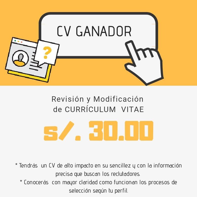 Diseño de curriculum profesional, redes y bolsa de trabajo