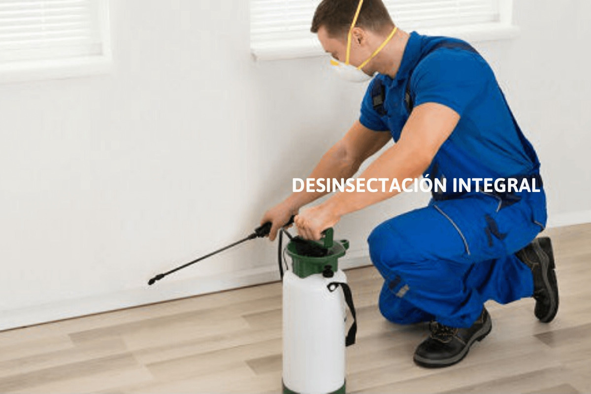 Empresa de fumigación de casas en lima | fumigación de ratas
