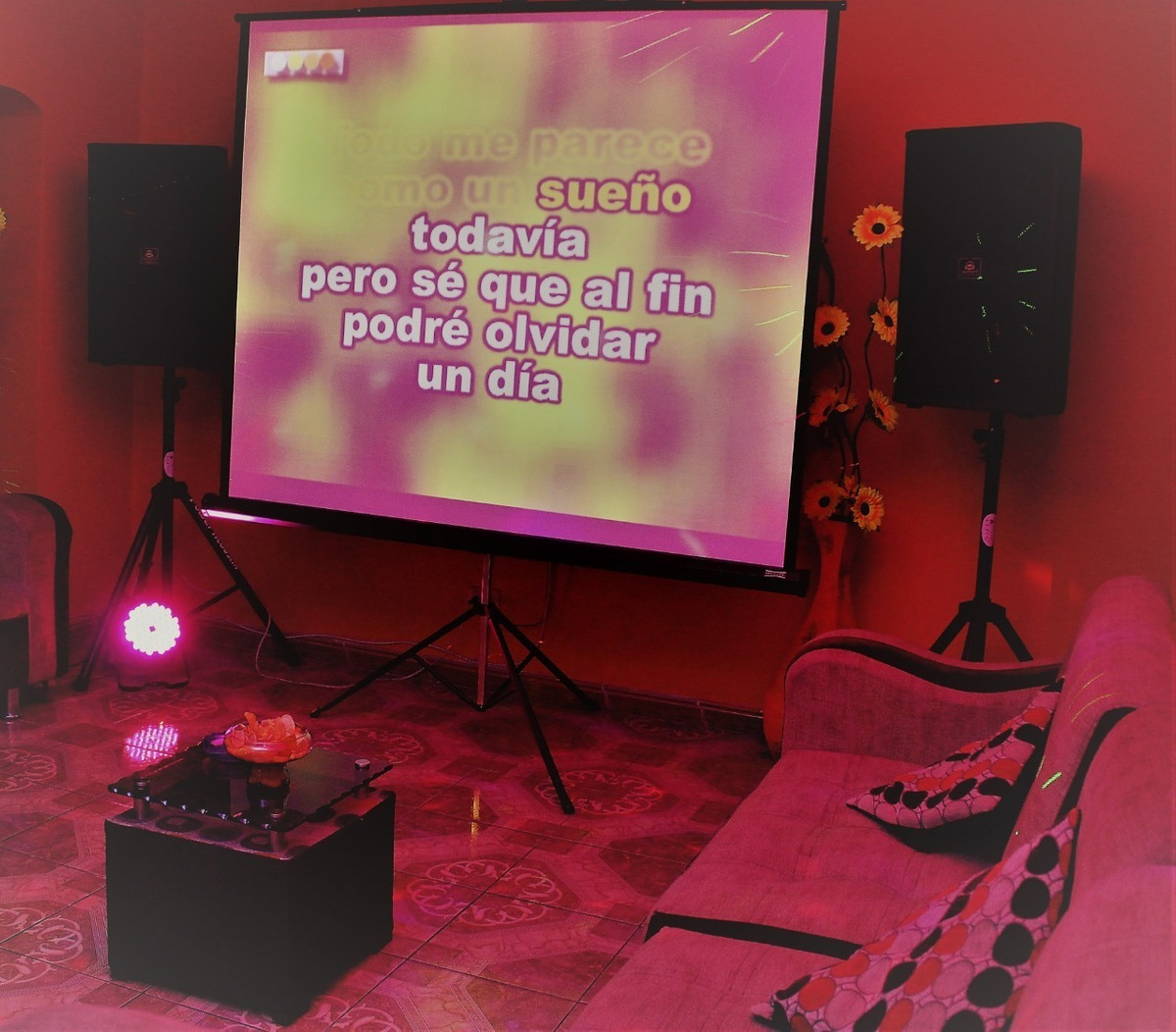 Karaoke a domicilio