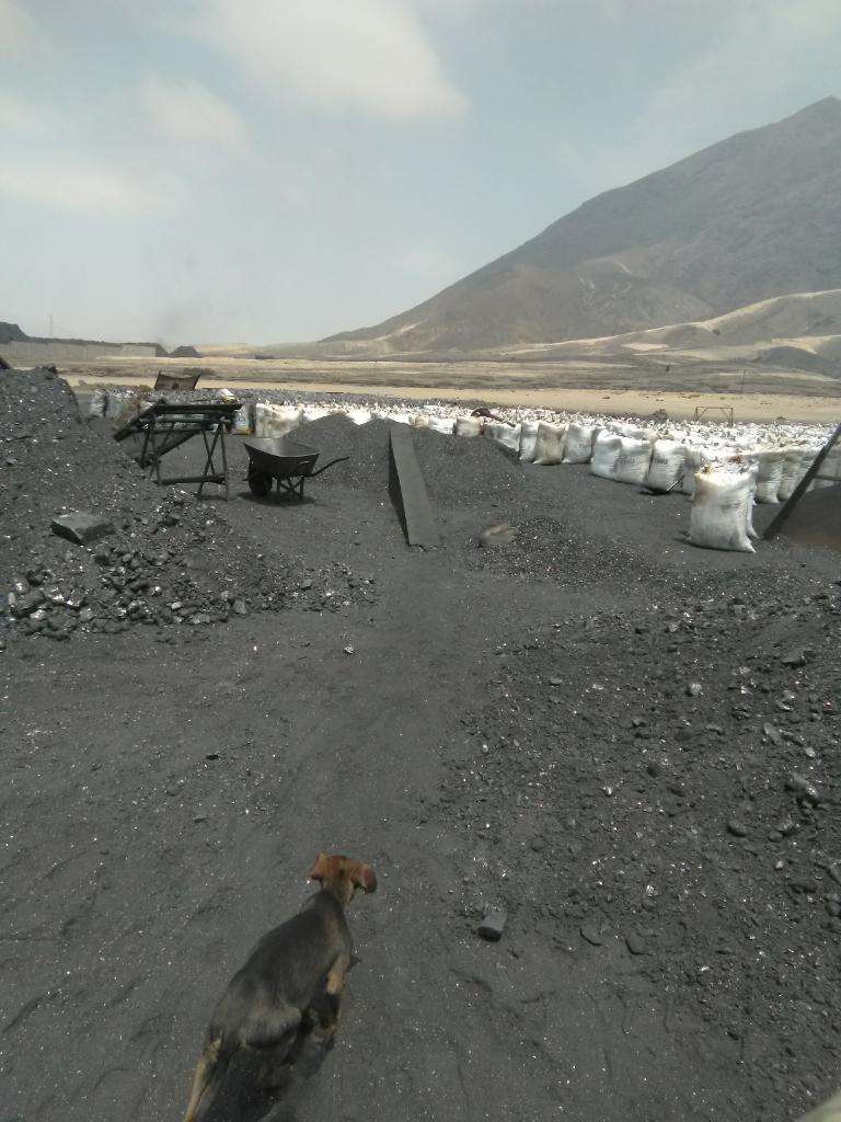 Carbón de piedra