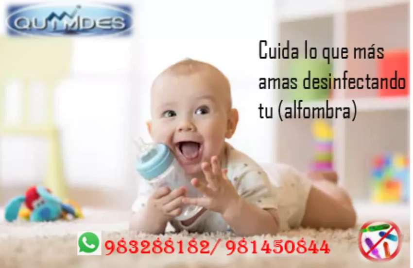 Lavado de alfombras