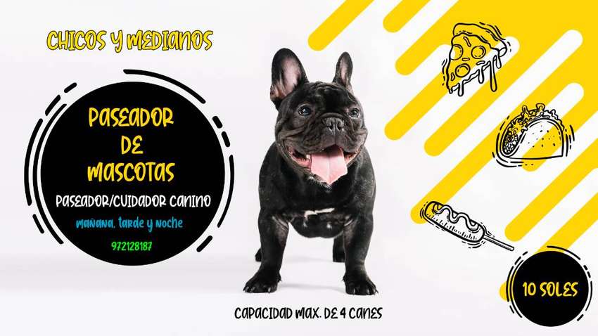 Paseador de perro/ cuidador de canes