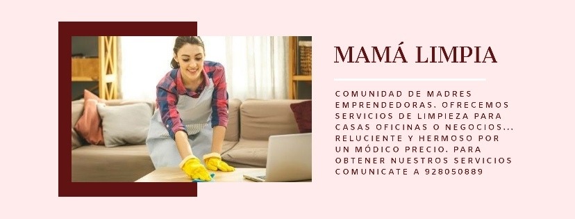 Limpieza de casas, departamentos, oficinas o negocios