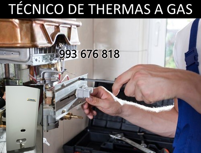 Mantenimiento de termas a gas junkers neckar sole