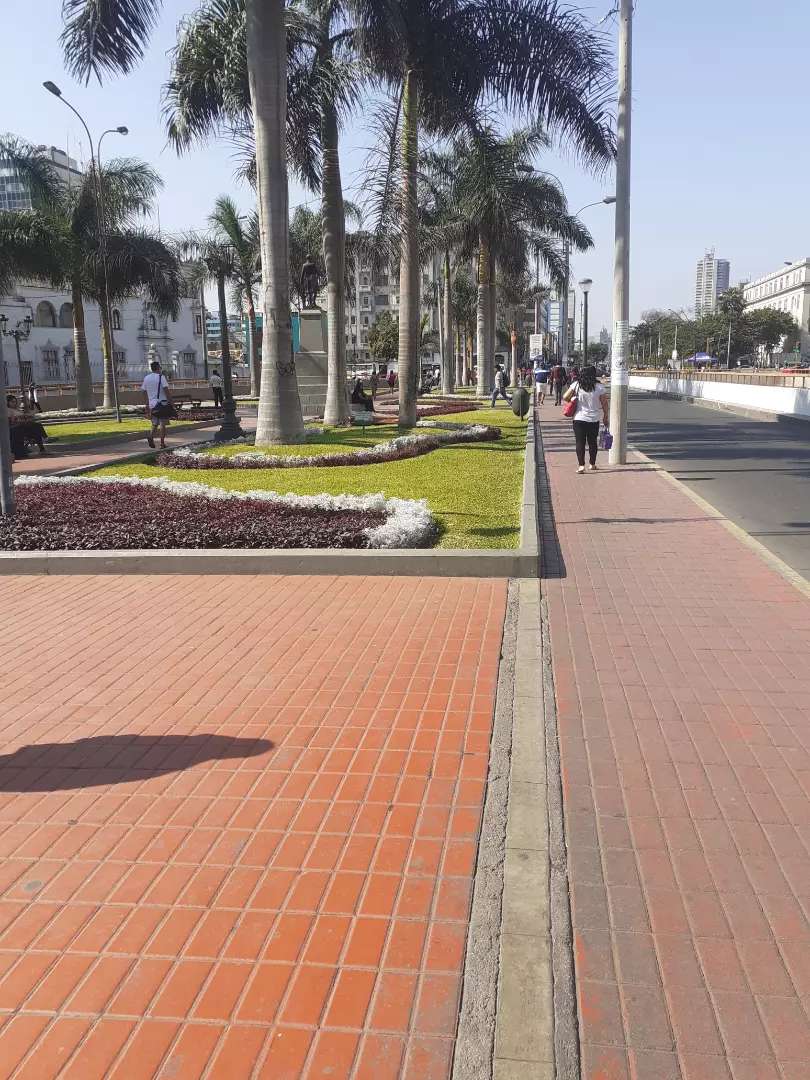 Clases de ajedrez desde cero hasta avanzado