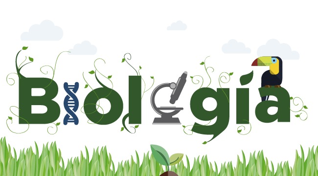 Profesor particular biologia, quimica, fisica, estadística
