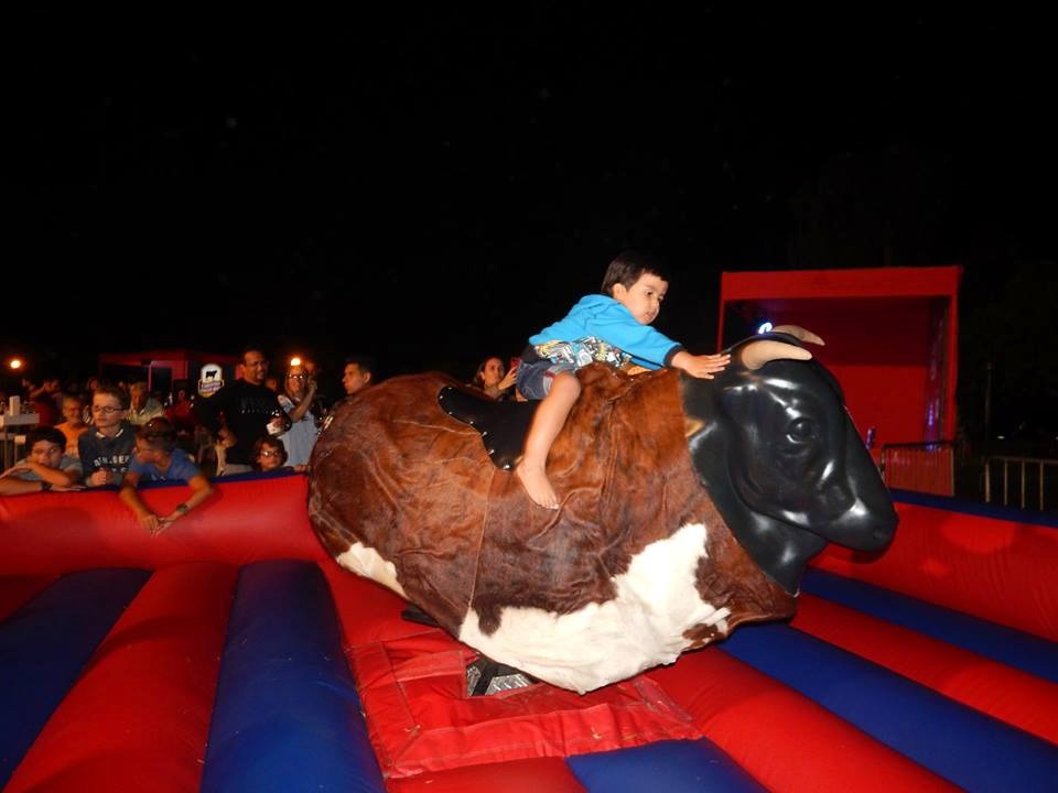 Toro mecanico alquiler para eventos especiales