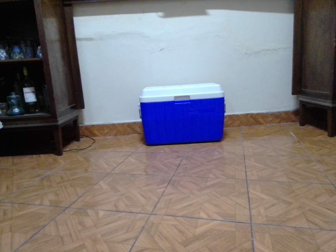 Vendo cooler