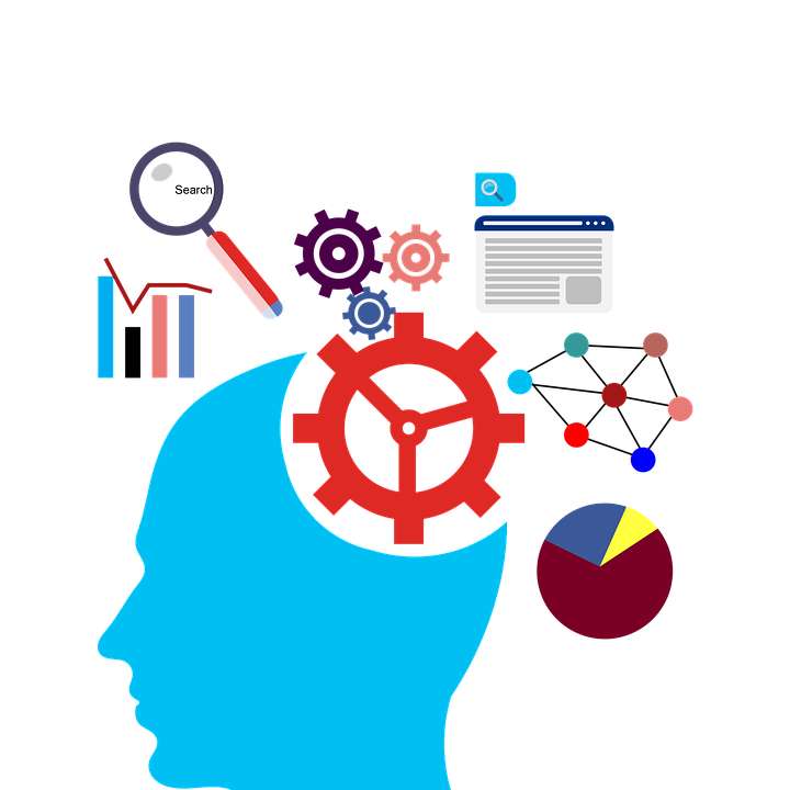 Estudios de mercado para empresas