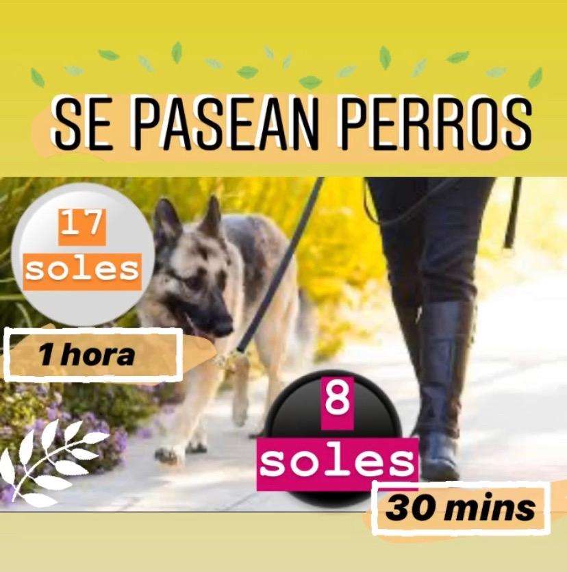 Paseadora de perros