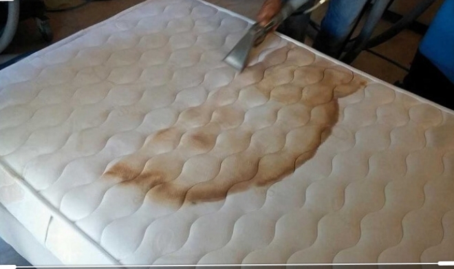 Limpieza y mantenimiento