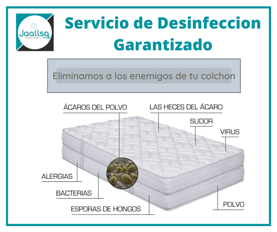 Jaallsa: Limpieza y Desinfección