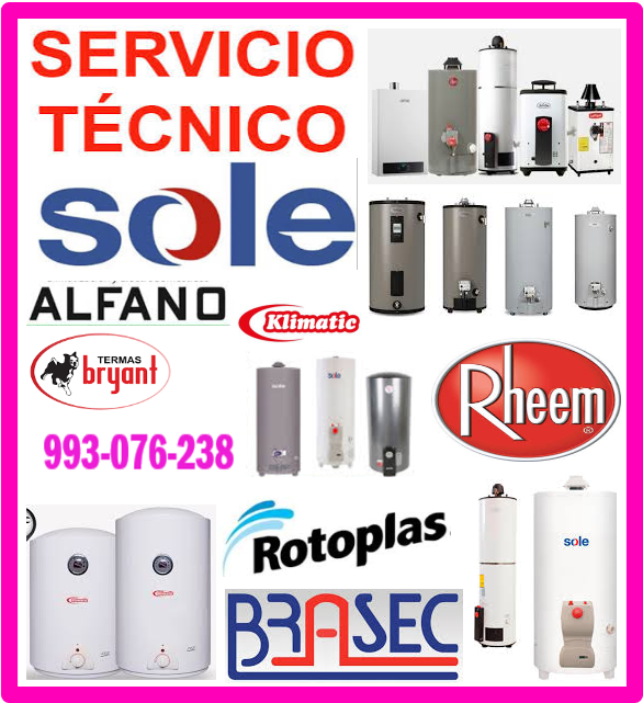 Reparaciones de termas a gas 993076238