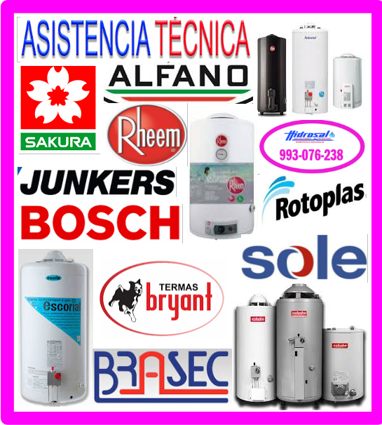 Reparaciones de termas Sakura 993076238