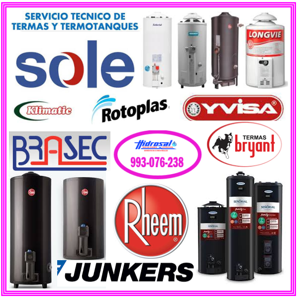 Servicio técnico de termas a gas 993076238