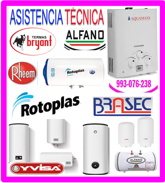 Servicio técnico termas Bryant 993076238