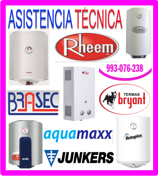Servicio técnico termas Bryant 993076238