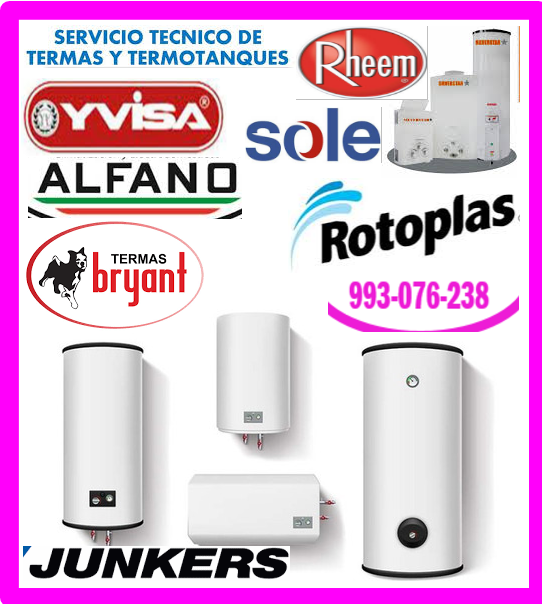 Servicio técnico termas Bryant 993076238