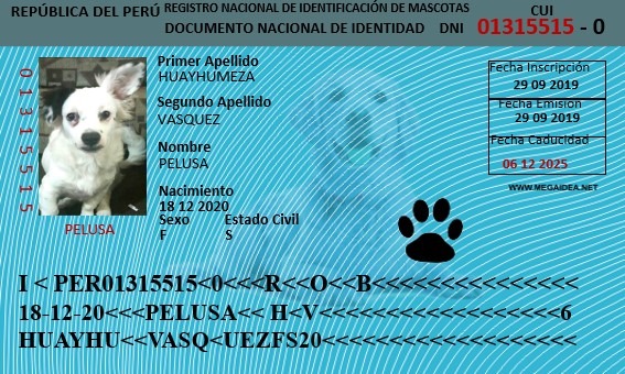 DNI DE MASCOTAS