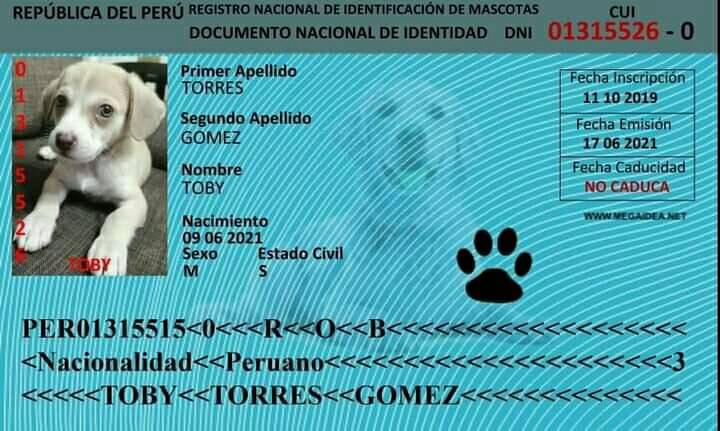 DNI S DE ANIMALES Y MASCOTAS
