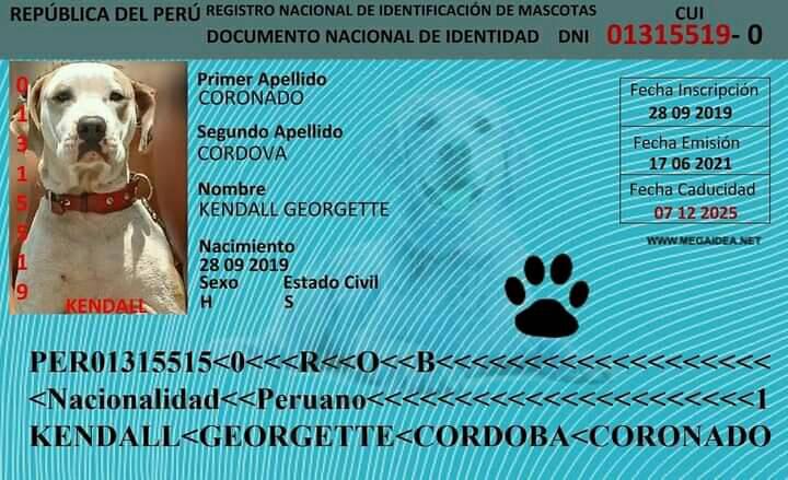 DNI S DE ANIMALES Y MASCOTAS