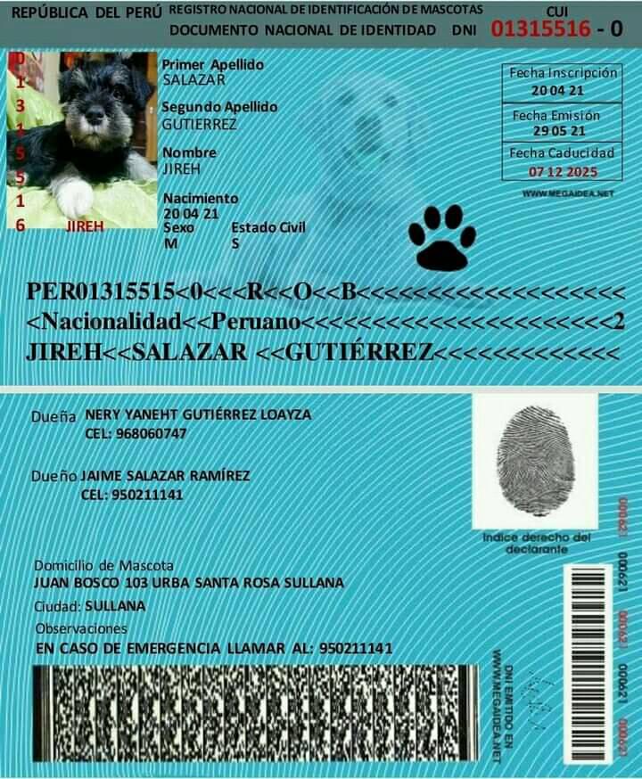 DNI S DE ANIMALES Y MASCOTAS